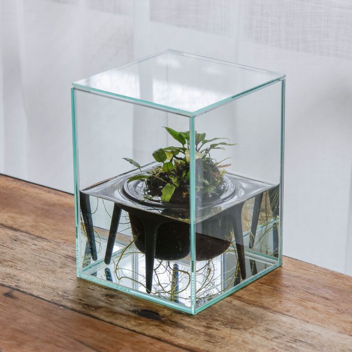 plants design