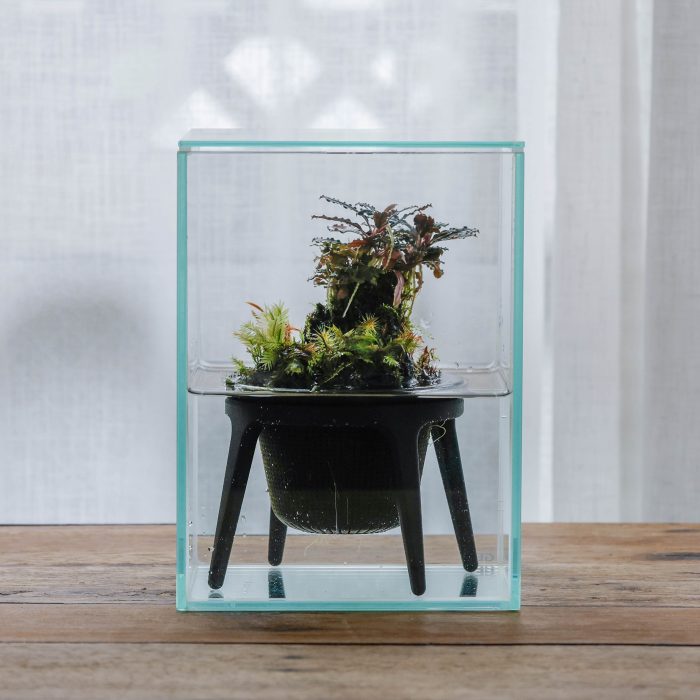 plants design